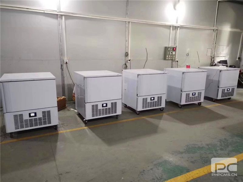 洛陽(yáng)羊肉速凍冰柜廠家
