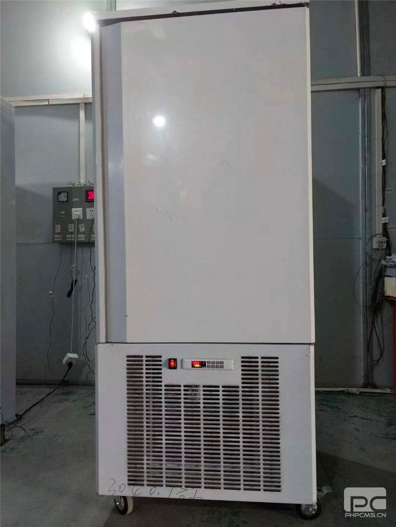 郴州蛋糕極速冷凍柜廠家