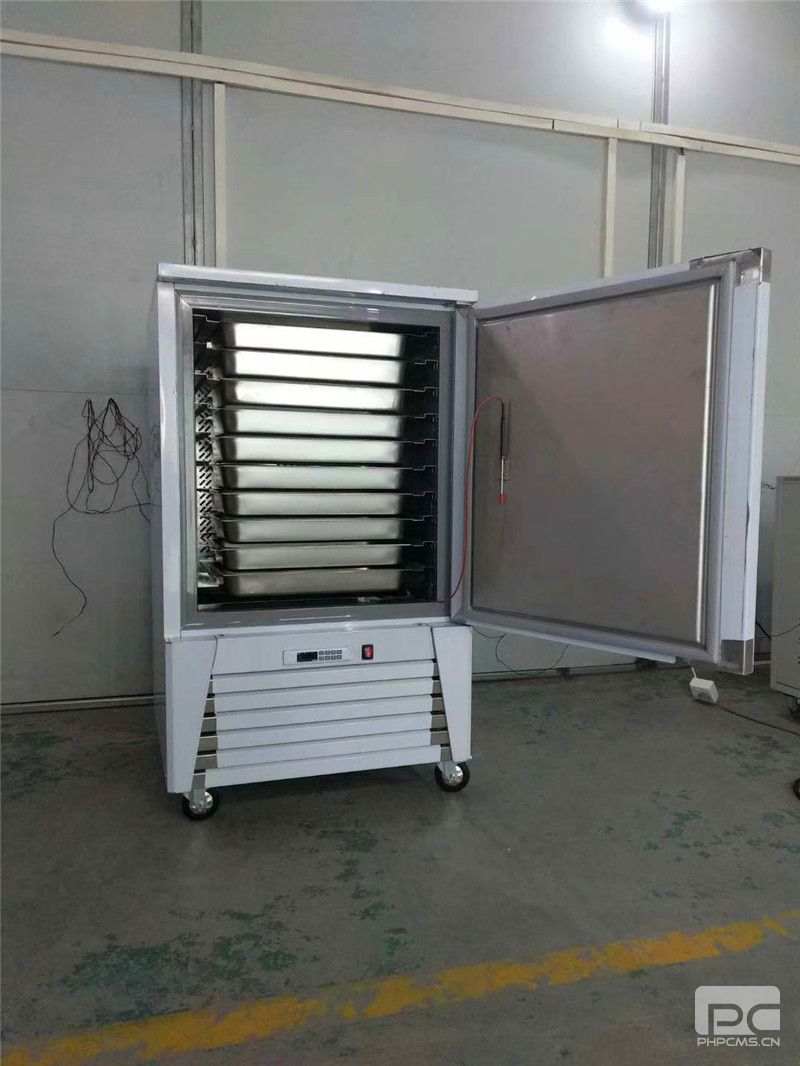 海東牛肉急速冷凍柜廠家